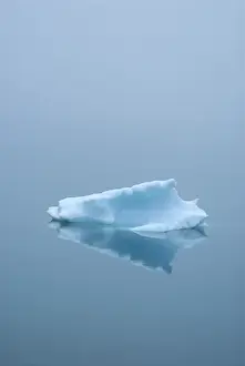 Erics Fjord Prints: Greenland, Eriks Fjord. A single iceberg floats on Eriks Fjord in southern