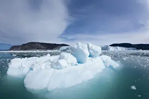 Day Light Prints: Greenland, Ilulissat, Field of melting icebergs calved from Eqip Glacier in Disko