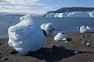 Day Light Prints: Greenland, Ilulissat, Icebergs calved from Eqip Glacier stranded at low tide on gravel