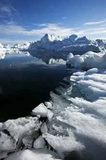 Sermeq Kujalleq Prints: Greenland, Ilulissat, Icebergs from Jakobshavn Isfjord floating in Disko Bay on summer