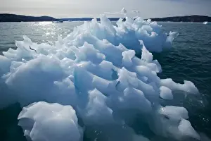 Day Light Prints: Greenland, Ilulissat, Midday sun lights melting iceberg near face of Eqip Glacier