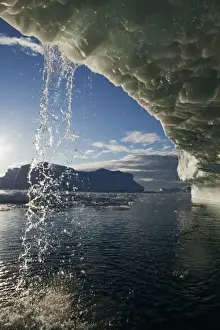 Greenland, Ilulissat, Midnight sun lights melting icebergs calved from Jakobshavn