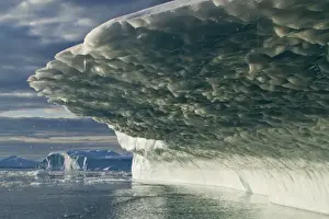 Ledge Prints: Greenland, Ilulissat, Midnight sun lights melting icebergs calved from Jakobshavn