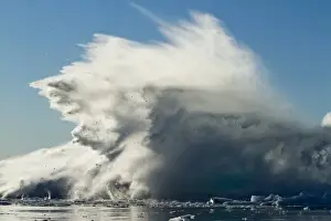 Sermeq Kujalleq Prints: Greenland, Ilulissat, Slab of ice falling from massive iceberg calved from Jakobshavn
