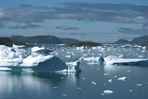 Greenland, Narsaq Sound. A sea of icebergs on Narsaq Sound in southern Greenland