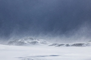 Greenland Collection: Greenland, Nuuk, late spring snow storm