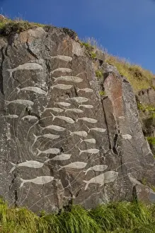 Images Dated 14th September 2010: Greenland, Qaqortoq. South Greenlands largest town. Rock art part of cultural