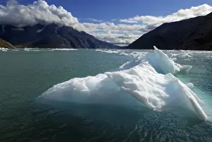 Images Dated 26th July 2011: Greenland, Qooroq Fjord. A sea of icebergs on Qooroq Fjord in southern Greenland