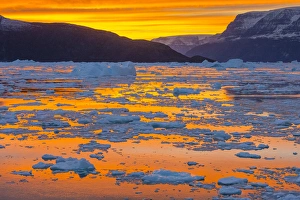 Greenland. Scoresby Sund. Gasefjord. Sunset with icebergs and brash ice