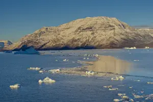 Inger Hogstrom Prints: Greenland. Scoresby Sund. Gasefjord (Gooseford) icebergs and calm water