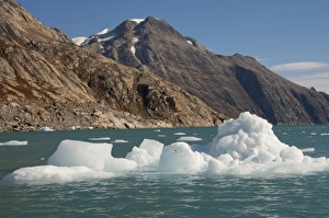 Images Dated 11th September 2010: Greenland, Southeast coast, Skjoldungen Fjord. Thryms Glacier area, glacier icebergs
