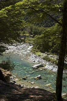 Greenstone River, Greenstone Valley, near Lake Wakatipu, South Island, New Zealand