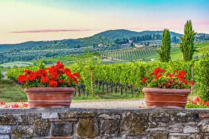 Carnation Prints: Greve in Chianti, Tuscany, Italy