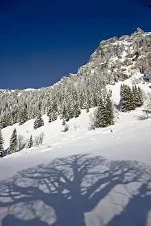 Images Dated 26th November 2008: Griesalp and Steineberg in deep snow in Kiental, Switzerland