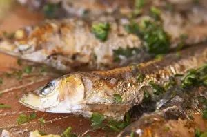 Drinking Prints: Grilled sardines in a restaurant in Collioure on the Mediterranean coast in Roussillon