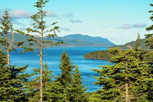 Cove Prints: Gros Morne National Park, Wild Cove on Bonne Bay, Newfoundland, Canada