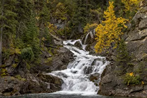 Images Dated 1st October 2021: Gros Ventre Falls in autumn, Glacier National Park, Montana, USA