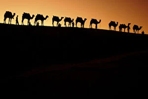 Images Dated 4th February 2007: A group of camel herders with their camels at sunset on the sandunes in Jalsalmer