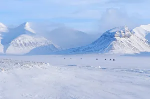 Lonely Prints: Group of snowmobiles driving on frozen Petuniabukta in fjord Billefjorden