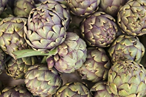 Southern France Prints: Grown in the Aquitaine provence of France, these artichokes were being sold