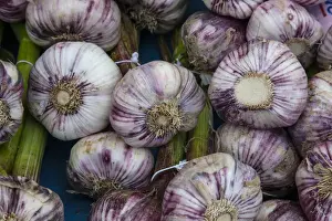 Spice Prints: Grown locally near Bergerac, these purple garlics are sold at the outdoor market in Bergerac