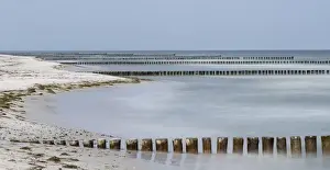 Germany Prints: Groynes are protecting the coast outside the full protected Wilderness Area in