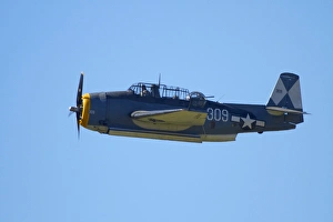 Images Dated 7th April 2012: Grumman Avenger (with folding wings), carrier-borne torpedo bomber, Warbirds over Wanaka
