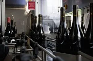 Mechanism Prints: Gsing am Wagram, Lower Austria, Austria - Closeup of metal wine bottling mechanism