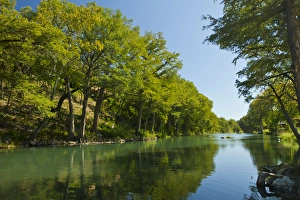 Guadalupe Prints: Guadalupe River and Baldcrypress trees at Gruene, Texas near New Braunfels