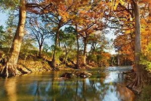 Bald Cypress Prints: Guadalupe River, Texas hill country, autumn