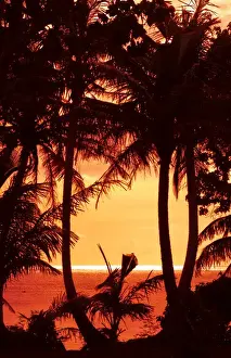 Images Dated 2030: Guam USA Territory palms and sunset near Hagatna capital