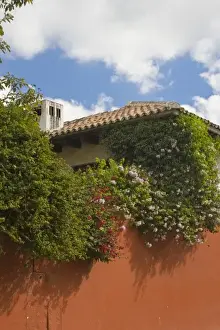 Mesoamerica Prints: Guatemala, Antigua. Colonial architecture with flowers blooming along the wall