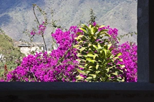 Images Dated 20th January 2008: Guatemala, Antigua. The Convent of Las Capuchinas