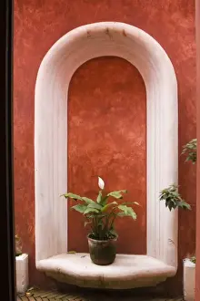 Lodging Prints: Guatemala, Antigua. Potted Calla Lily plant as decoration in small boutique hotel in Antigua