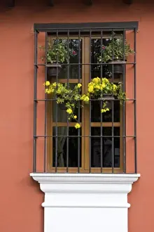 Sacatepequez Department Prints: Guatemala, Antigua. Window with flower pots on colonial home in Antigua