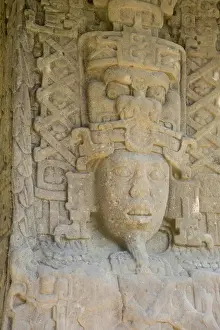Images Dated 7th February 2013: Guatemala, Quirigua Mayan Ruins Archaeological Park (UNESCO)