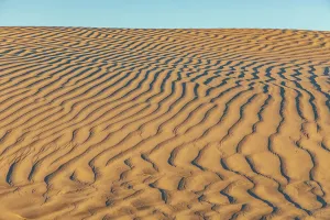 Sand Dune Prints: Guerrero Negro, Mulege, Baja California Sur