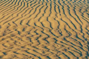 Sand Dune Prints: Guerrero Negro, Mulege, Baja California Sur