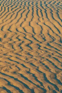 Sand Dune Prints: Guerrero Negro, Mulege, Baja California Sur