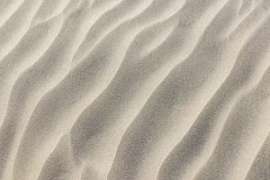 Sand Dune Prints: Guerrero Negro, Mulege, Baja California Sur, Mexico. Sand dunes along the western coast