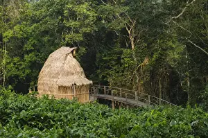 Images Dated 27th May 2013: Guest cabin, Ngaga Camp, Republic of Congo (Congo - Brazzaville), AFRICA