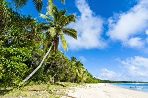Images Dated 20th June 2011: Haa'apai, Haapai, islands, Tonga, South Pacific