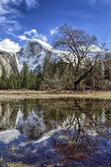 Images Dated 22nd February 2017: Half Dome with reflections seen from Cooks Meadow. Yosemite National Park. California