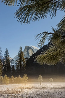Images Dated 28th February 2010: Half Dome from valley floor. Yosemite, California, US