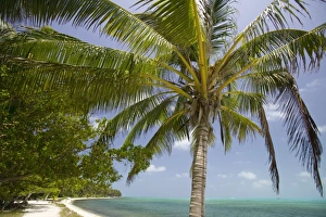Half Moon Caye, World Heritage Site-Lighthouse Reef Atoll, Belize. (RF) Half Moon Caye, World Heritage Site-Lighthouse Reef Atoll, Belize. (RF)