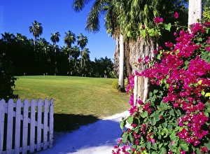 Jamaica Prints: Half Moon Resort, Montego Bay, Jamaica