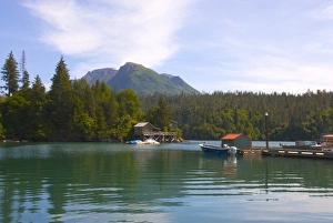 Homer Prints: Halibut Cove, Alaska