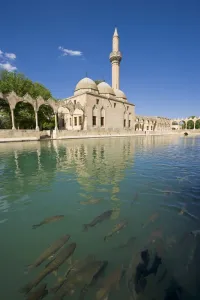 Images Dated 10th May 2006: Halil-ur Rahman (Friend of God) Mosque and the Pool of Abraham (Ibrahim) with the holy carp inside