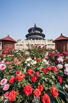 Hall of Prayer for Good Harvests in the Temple of Heaven (Altar of Heaven) Beijing