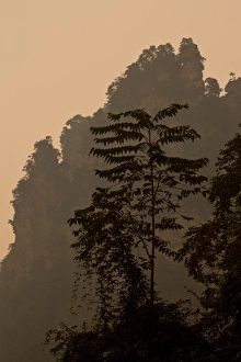 Images Dated 16th September 2013: Hallelujah Mountains China, Wulingyuan District, Landscape and many peaks on display